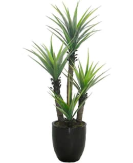 CHC TRAAKKIPUU TEKOKASVI 165CM Main Image