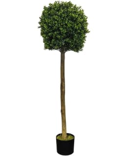 CHC PUKSIPUU TEKOKASVI 140 CM Main Image