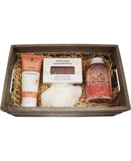 EMENDO LAHJAKORI 4109 Main Image