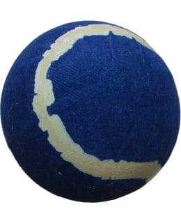 CHAMP PESIS PESÄPALLO SR Main Image