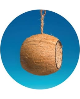 Coconut with suetmix 450g Main Image