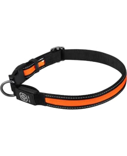 Safemate koiran oranssi ladattava LED-valopanta Main Image