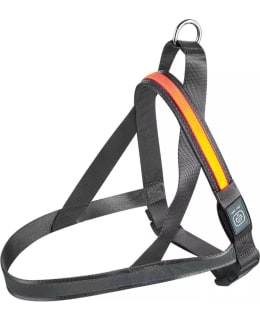 SAFEMATE S LED-VALOVALJAAT Main Image