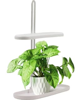 LED ENERGIE 10W 5000K KASVIVALOALUSTA Main Image