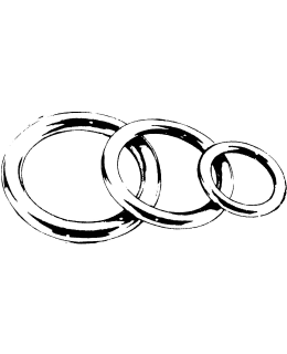 RENGAS 12 X 70 MM AISI 316 9513060016B Main Image