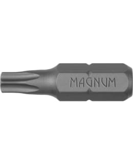 MAGNUM T20 25MM C 100KPL RUUVAUSKÄRKI Main Image
