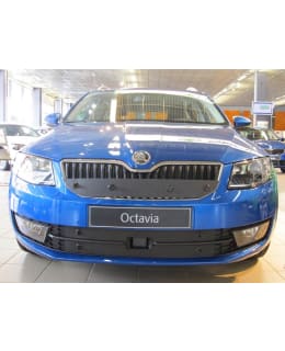 TAMMERS SKOD O FR-ASS T 13-16 MASKISUOJA Main Image