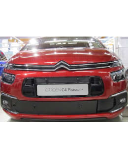 TAMMERS CITR C4 PICASSO 17- MASKISUOJA Main Image