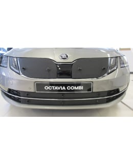 TAMMERS TS760 SKODA OCTAVIA 2019- MASKIS Main Image