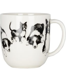 KK KOIRAN YST BORDER COLLIE 3DL MUKI Main Image