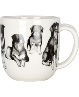 KK KOIRAN YST ROTTWEILER 3DL MUKI Main Image