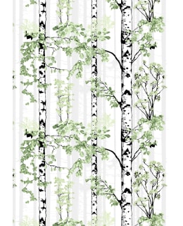 VALLILA LUONTOPOLKU 150CM 5/VIH KANGAS Main Image