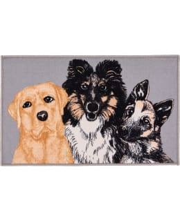 VALLILA YSTÄVYKSET 50X80 1000/BE MATTO Main Image