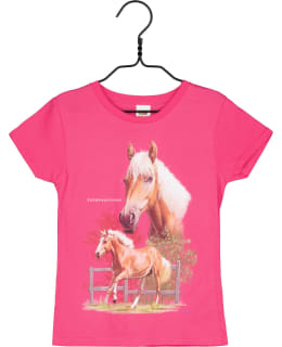 02-6568-57-FUK-116 SUOMENHEV L.T-PAITA Main Image