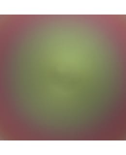 CAB CHAMELION PASSION GREEN 50ML MAALI Main Image