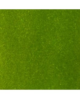 CAB METALLIC OLIIVI 50ML MAALI Main Image