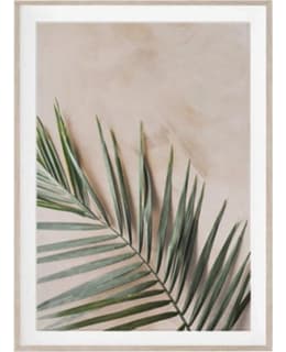 AMANDA B PALM TAULU Main Image