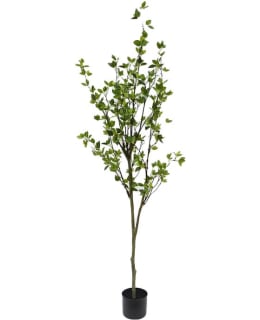 AMANDA B GARDEN 190CM TEKOPUU Main Image