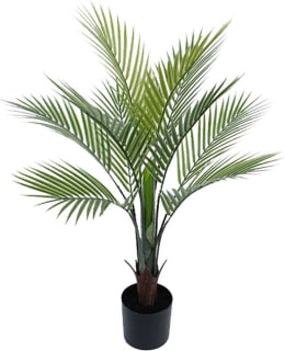 AMANDA B TROPICAL 80CM PALMU TEKOKASVI Main Image