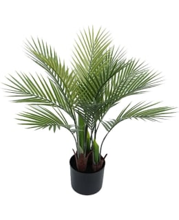 AMANDA B TROPICAL 70CM PALMU TEKOKASVI Main Image