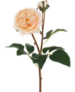 AMANDAB CREAM ROSE 55CM Main Image