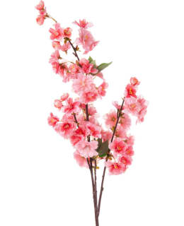 AMANDAB CHERRY BLOSSOM PINK 100CM Main Image
