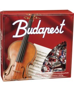 BUDAPEST ORIGINAL 300 G SUKLAAKONVEHTI Main Image