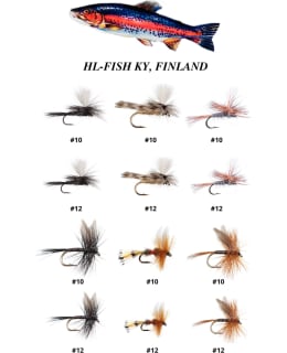 HL PÄIKKÄRI 12KPL PINTAPERHOLAJIT Main Image