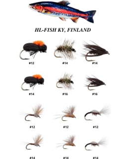 HL PIKKUPINTURI 12KPL PINTAPERHOLAJIT Main Image