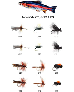 HL ALL STAR 12KPL PINTAPERHOLAJIT Main Image