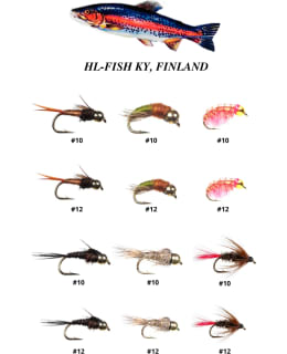 HL ALL STAR 12KPL UPPOPERHOLAJIT Main Image