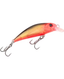 POMPERI PRO-X5 008 VAAPPU Main Image