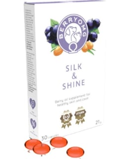 BERRYOMG SILK & SHINE 30KPL TÄYD.REHU Main Image