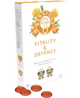 BERRYOMG VITALITY & DEFENCE 30 PC Main Image