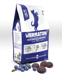 Werraton Blueberry Snack 450g Main Image