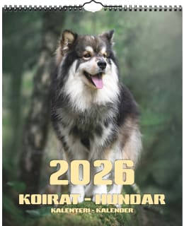 AIKA KOIRAT 2026 ISO SEINÄKALENTERI Main Image