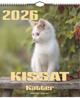 AIKA KISSAT 2026 ISO SEINÄKALENTERI Main Image
