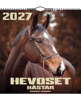 AIKA HEVOSET 2027 ISO SEINÄKALENTERI Main Image