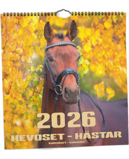AIKA HEVOSET 2026 ISO SEINÄKALENTERI Main Image