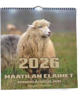 AIKA MAATILAN 2026 ISO SEINÄKALENTERI Main Image