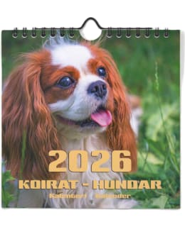 AIKA KOIRAT 2026 MIDI SEINÄKALENTERI Main Image