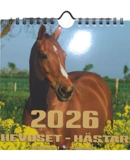 AIKA HEVOSET 2027 MIDI SEINÄKALENTERI Main Image