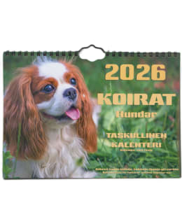 AIKA KOIRAT 2026 SEINÄTASKUKALENTERI Main Image