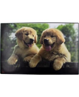 AIKA DOG KIRJOITUSALUSTA Main Image