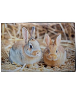 AIKA RABBIT KIRJOITUSALUSTA Main Image