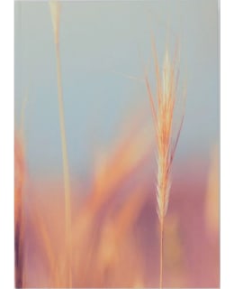 AIKA DOVELOPING A5 MEMORYBOOK Main Image