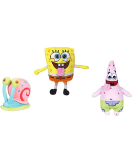 PAAVO PESUSIENI PEHMO Main Image