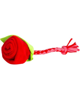 Love Rose Main Image