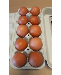 Paunolan tila Ruskeita L/M munia 10kpl kananmunakenno Main Image