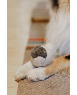 PAWilla woolen toy for dogs maxi Main Image